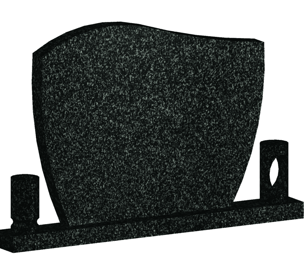 NS01REG